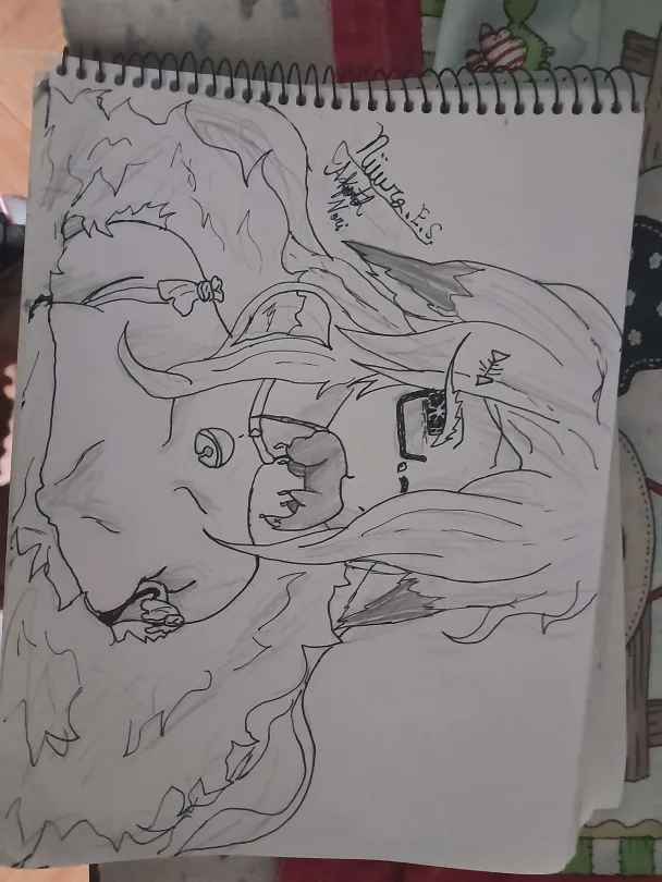 Nori no Papel